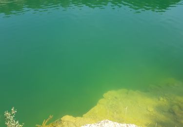 Randonnée Marche La Ferrière-aux-Étangs - La Feriere aux etant  - Photo