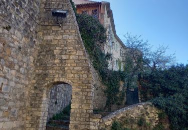 Excursión Senderismo Vaison-la-Romaine - Vaison la Romaine / Crestet - Photo