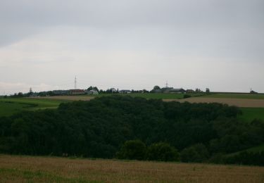 Tour Zu Fuß Tandel - Autopedestre Brandenbourg - Photo