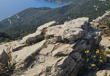 Trail Walking Luri - luri chemi. du patrimoine  - Photo