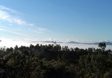 Tour Wandern Puget-sur-Argens - La Lieutenante Anc. Meulière Sce St Martin - Photo