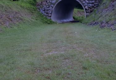 Tour Wandern Bouvante - col du carri - Photo