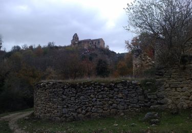 Excursión A pie Valdegovía - Senda del río Purón - Photo