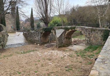 Excursión Senderismo Flassans-sur-Issole - Flassans sur issole - lac de redon - Photo