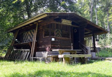 Excursión A pie Gomadingen - Traufgänge - Ochsenbergtour - Photo