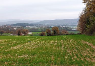 Tour Wandern La Bâtie-Rolland - La Batie-Rolland  Les Trois Panorama7km - Photo