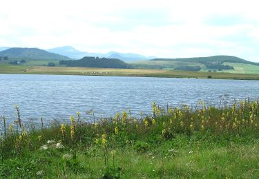 Randonnée A pied Besse-et-Saint-Anastaise - Le Lac de Bourdouze - Photo