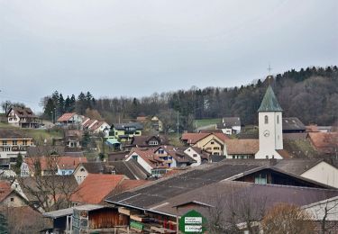 Randonnée A pied Stein - Schupfart - Stein - Photo