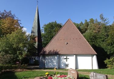 Trail On foot Neubulach - Neubulach-Langsches Brückle - Photo