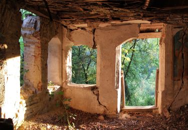 Randonnée A pied Băile Olănești - Valea Cheii - Schitul Iezer - Valea Cheia - Cabana Codric - Cabana Cheia - Photo