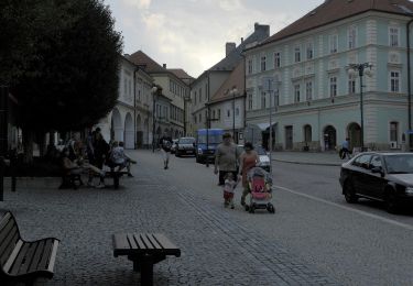 Tocht Te voet Chlístovice - [M] Kutná Hora - Sion - Photo