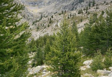 Tocht Stappen Belvédère - Refuge de Nice à refuge de la madone de fenestre  - Photo