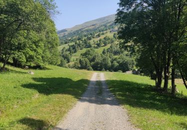 Tour Wandern Les Belleville - moulin - Photo