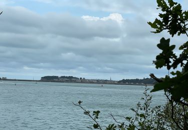 Randonnée Marche Pleurtuit - Le Mont Marin - Photo