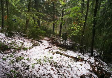 Tour Wandern Chichilianne - orage de grêle vers le pas de Laupet - Photo