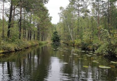 Tour Zu Fuß  - Mosserud - Laskerud - Lenungshammar - Photo