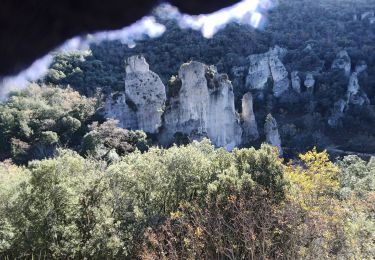 Trail Running Belgentier - les aiguilles de Valberg  - Photo