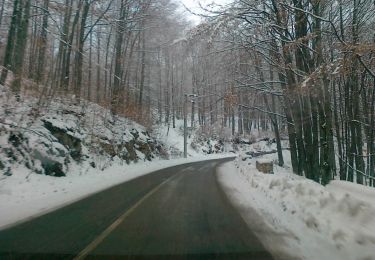 Tour Zu Fuß Nucet - Șaua Vârtop - Groapa Ruginoasa - Pietrele Negre - Photo