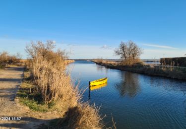 Tour Wandern Mauguio - les_cabanettes_Mauguio - Photo