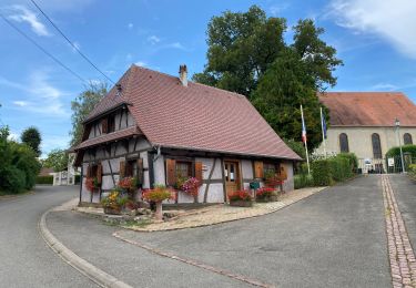 Tocht Stappen Obermorschwiller - 2022 08 15 - Photo