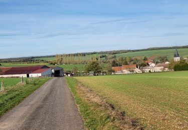 Randonnée Marche Coussey - de Coussey à Vouthon  - Photo