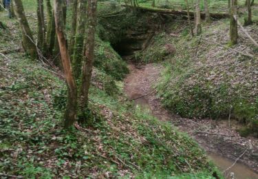 Tocht Stappen Sauveterre-de-Guyenne - sauveterre de g - Photo