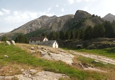 Trail Walking Allos - Col petite Cayolle-21-06-22 - Photo