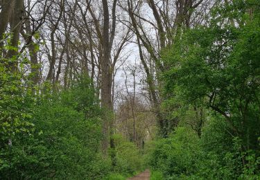 Percorso Marcia Remaucourt - Le tilloy - les sources de la somme - Photo