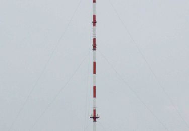 Tocht Te voet Heidenberg - Sagenwanderweg Büchenbachschleife - Photo