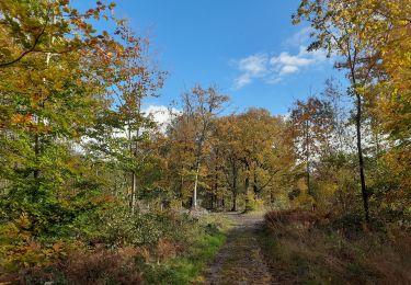 Tocht Stappen Hoei - Huy - Photo