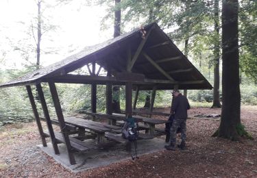 Trail Walking Bouillon - Vivy 110620 - Photo