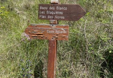 Tour Wandern Vence - Blaquiere - Photo