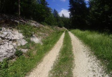 Tour Mountainbike Autrans-Méaudre en Vercors - autrans 10 2 - Photo