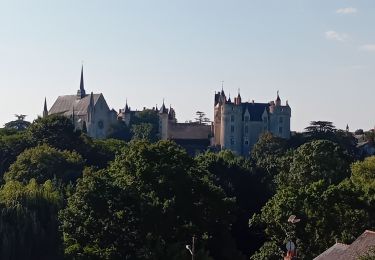 Trail Walking Montreuil-Bellay - Montreuil-Bellay - Photo