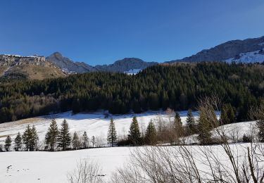 Tocht Stappen Villard-de-Lans - cabane de robon - Photo