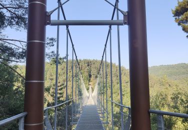 Tocht Stappen Saint-Maurice-de-Lignon - Passerelle du Lignon  - Photo