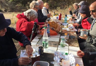 Trail Walking Montalba-le-Château - Montalba le château  - Photo