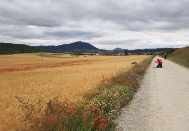 Tour Wandern Puente la Reina/Gares - Puente la Reina / Estella - Photo