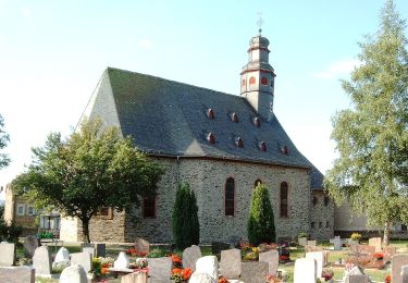 Tour Zu Fuß Lorch - Ranseler Höhenrausch - Photo