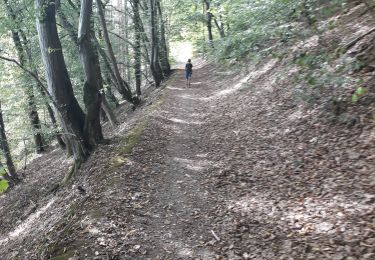 Randonnée Marche Érezée - Papillon de Fanzel-12 - Photo