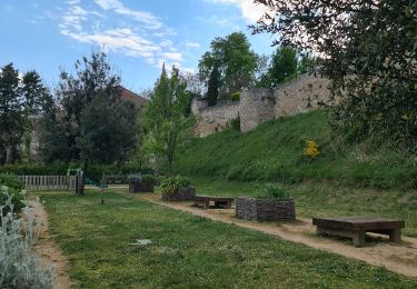 Tour Wandern Puylaurens - Le grand 8 de Montaut - Photo