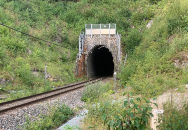 Tour Zu Fuß Le Poizat-Lalleyriat - Sentier des Ecureuils - Photo