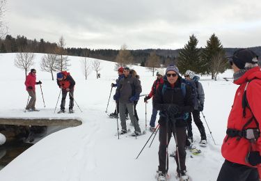 Percorso Racchette da neve Les Rousses - lac gèle des Rousses - Photo