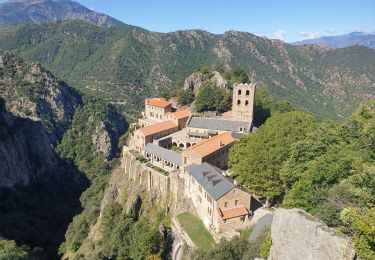 Trail Walking Casteil - st martin canigou - Photo