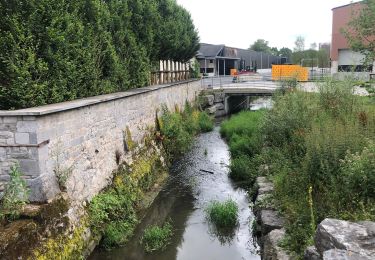 Tour Wandern Ciney - GR2.10 chevetogne-Rochefort - Photo