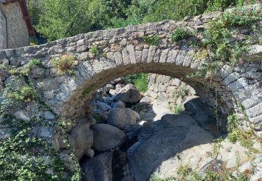 Tour Wandern Vialas - sud Mont Lozère de Vialas  - Photo