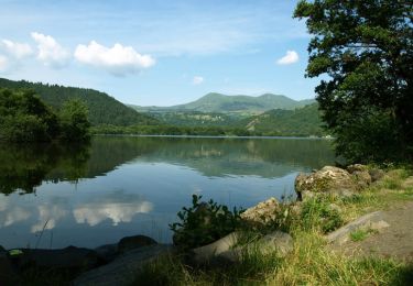 Randonnée Marche Murol - Chambon_Lac_Murol - Photo