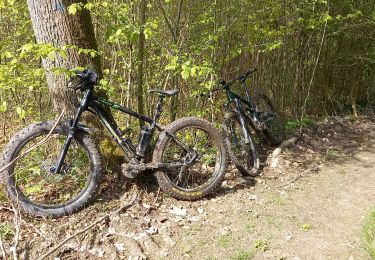 Tour Elektrofahrrad Saint-Clément - sortie vtt 30042023 vitrimont  - Photo