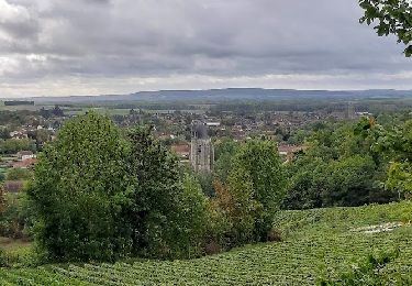 Excursión Senderismo Villenauxe-la-Grande - VILLENAUXE LA GRANDE, village et Val de Noxe - Photo