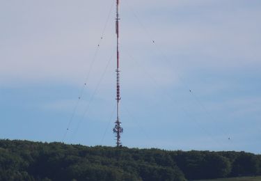 Excursión A pie Bischofsheim i.d.Rhön - Bischofsheim Rundweg 6 - Zum Rhönhäuschen - Photo